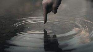 The Ripple Effect: Leadership Lessons of Cold Plunging image
