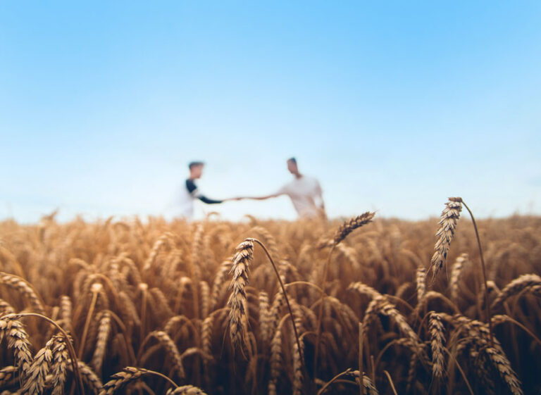 Accelerating Culture Change in Grain Management image