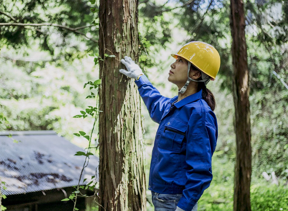 Strengthening Leadership Culture in the Resources Sector image