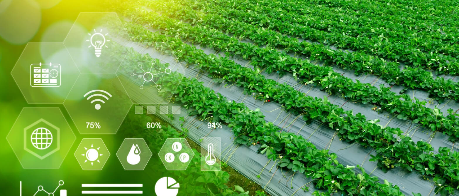 Building Leadership Excellence in AgTech image